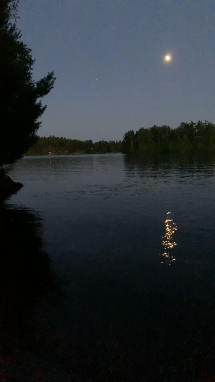 the moon is reflected in the still water at night, with trees on either side