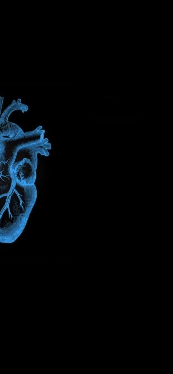 an x - ray image of a heart in the dark