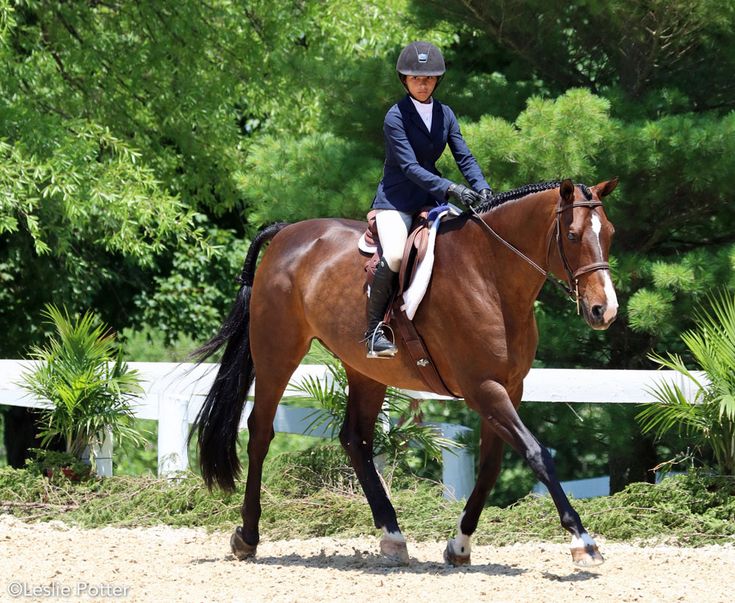 a woman riding on the back of a brown horse