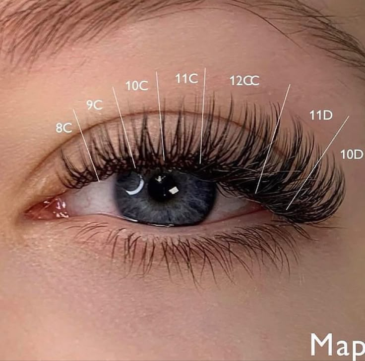 Eyelash Extensions Classic, The Wet Look, Natural Fake Eyelashes, Lash Map, Lash Maps, Lash Tips, Lash Mapping, Lashes Fake Eyelashes, Eyelash Tips