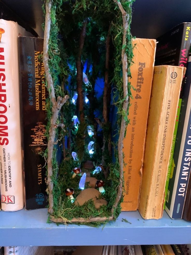 a book shelf filled with books covered in fake moss and lights on top of them