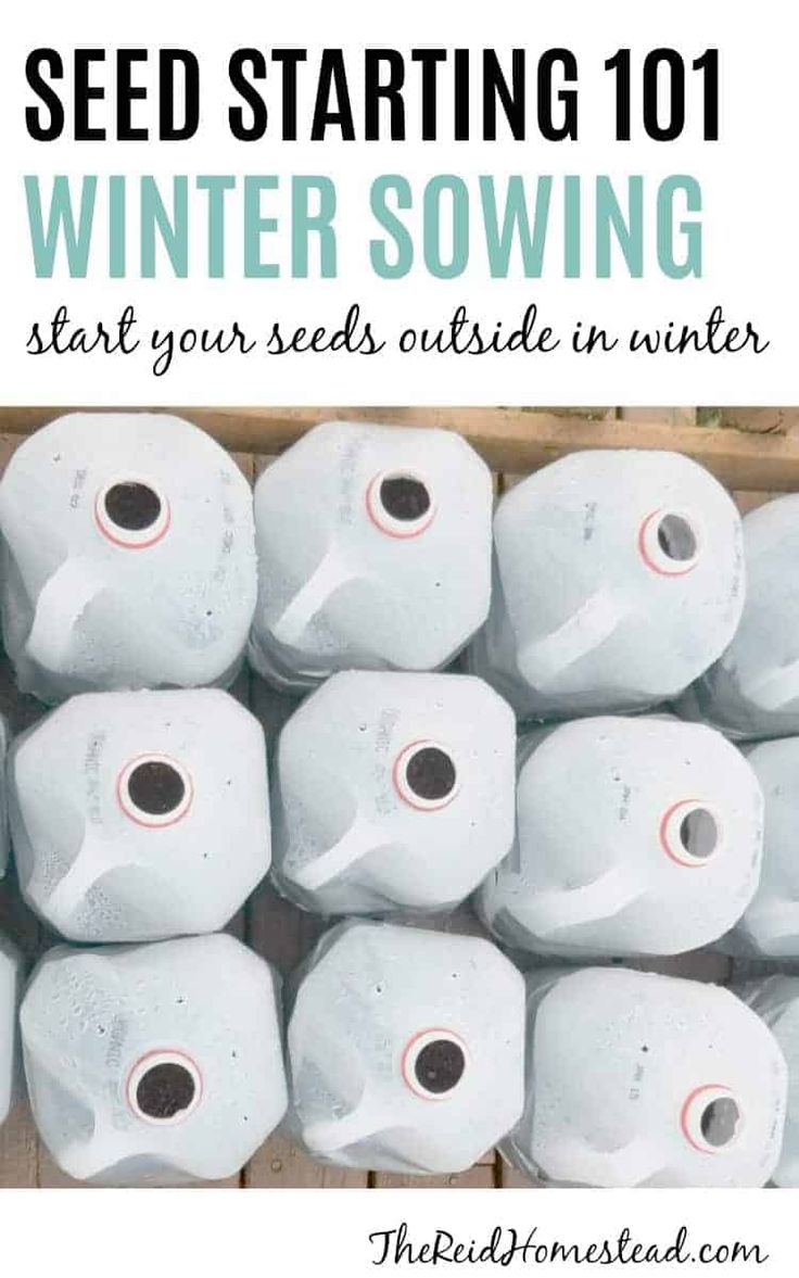 several rolls of toilet paper sitting in a box with text overlay reading seed starting 101 winter sowing start your seeds outside in winter