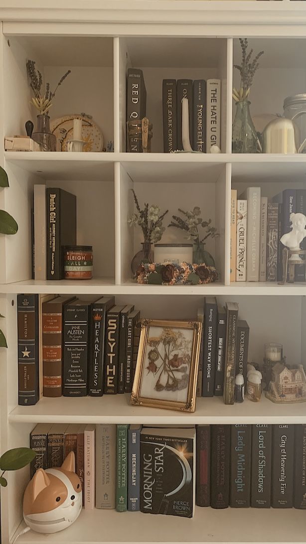 a bookshelf filled with lots of books next to a vase and potted plant