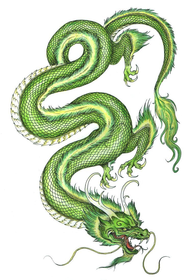 a green dragon tattoo design on a white background