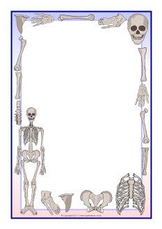 an image of a skeleton frame with bones and bones on the bottom, as well as two