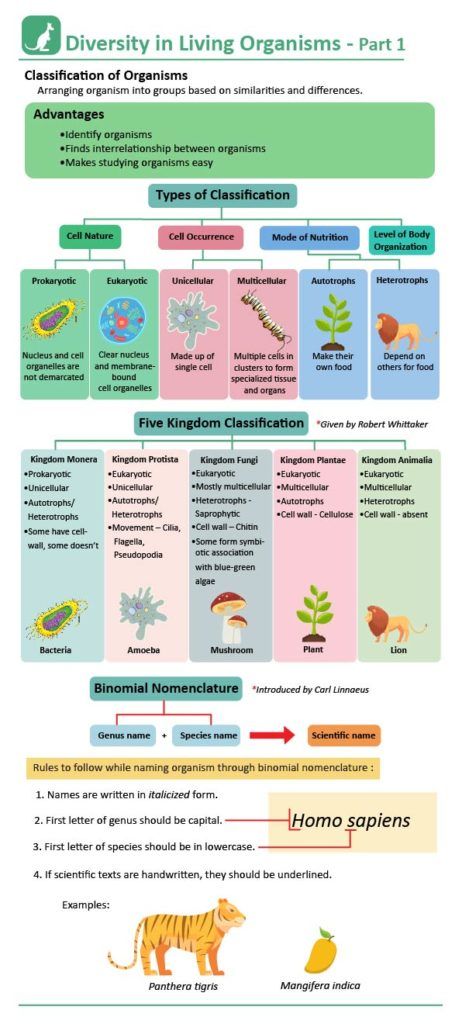 an animal's life cycle is shown in this diagram, which shows the different stages of