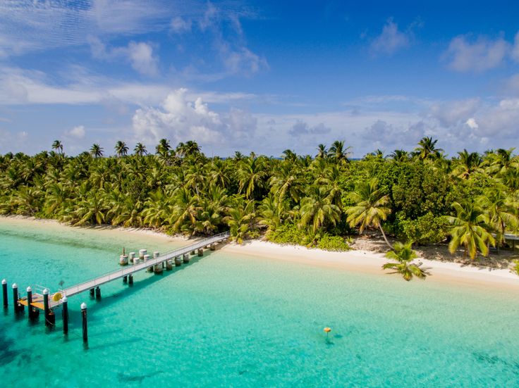 an aerial view of a tropical island with palm trees