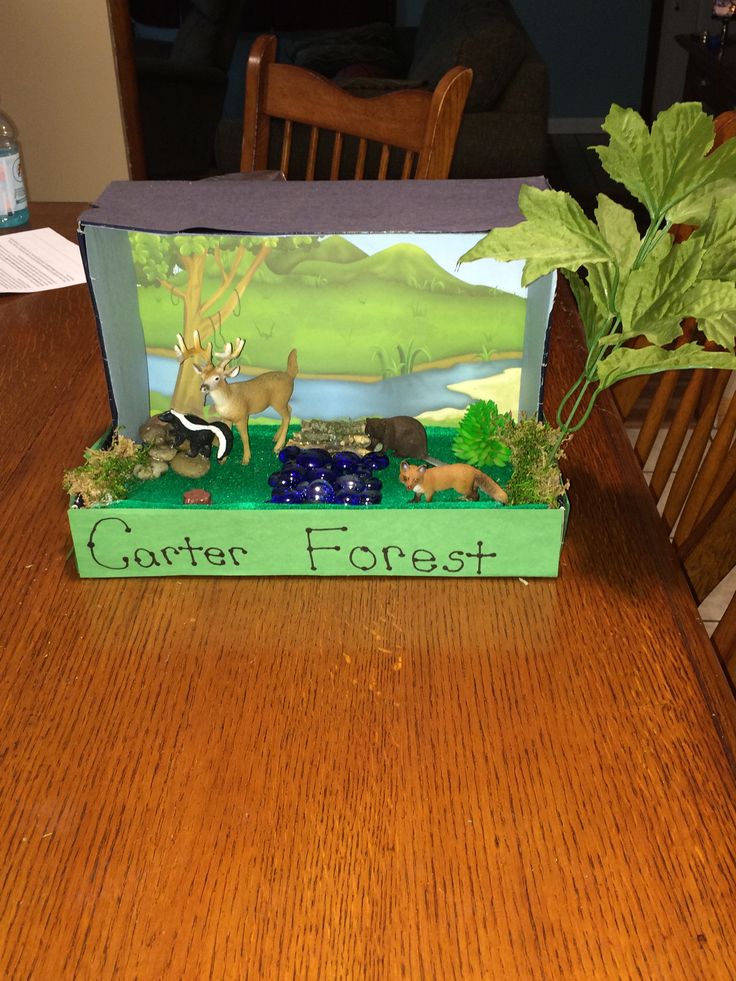 a wooden table topped with a green box filled with animals and plants on top of it