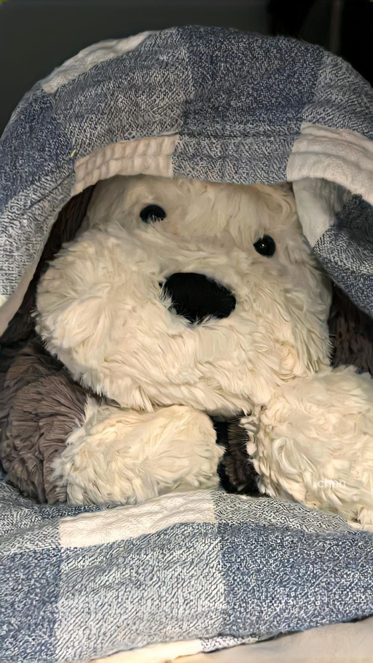 a stuffed dog is wrapped in a blanket