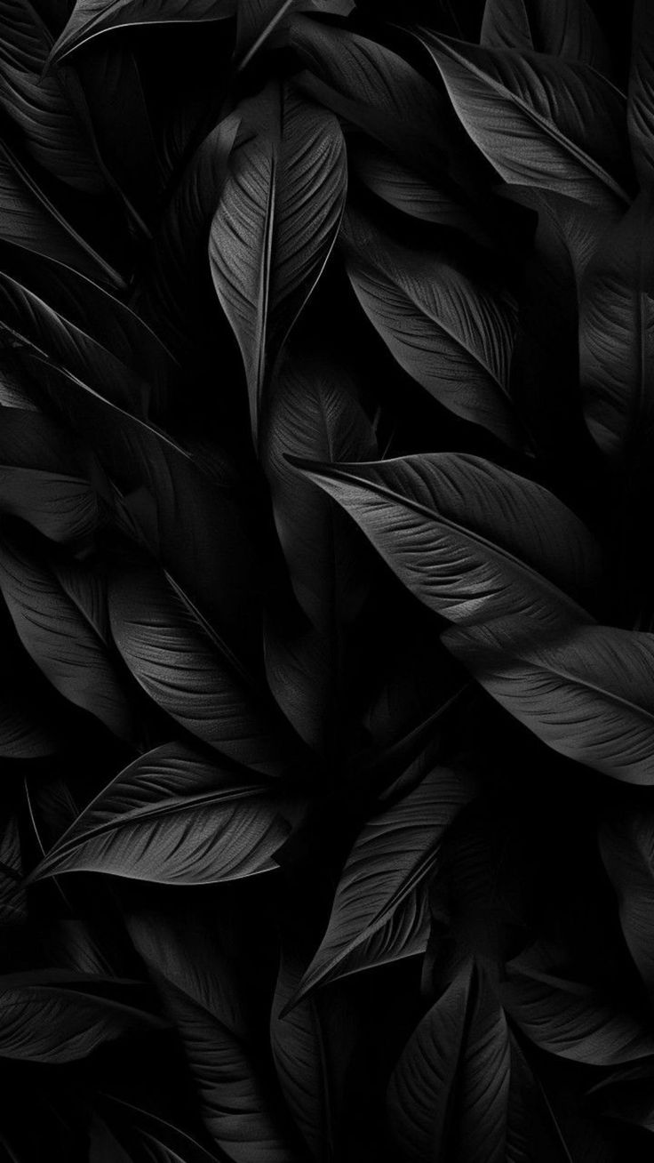 black and white photograph of leaves