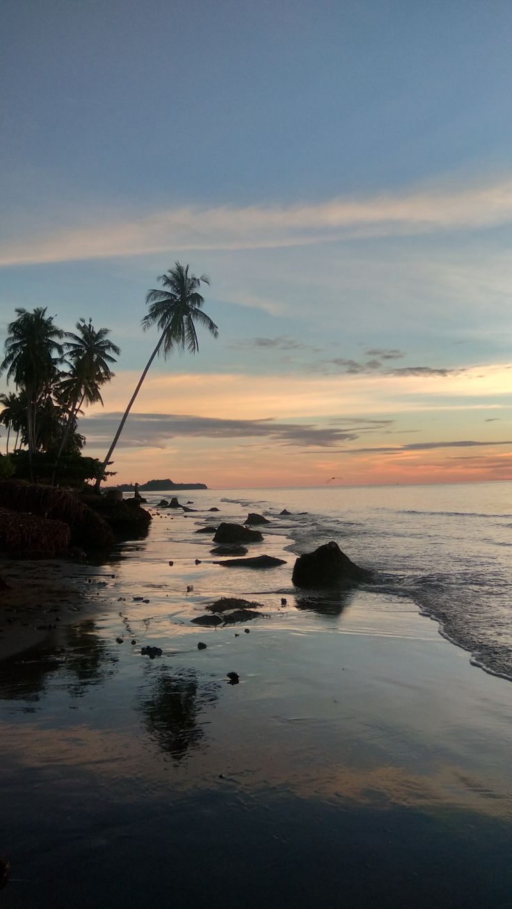 the sun is setting over the ocean with palm trees in the foreground and rocks on the shore