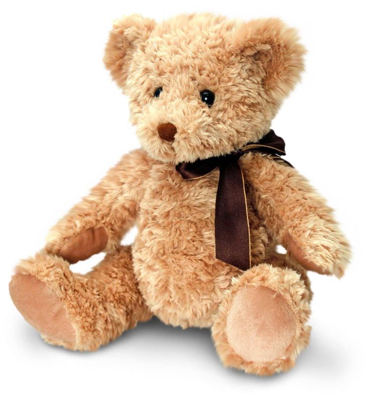 a teddy bear with a brown ribbon around its neck