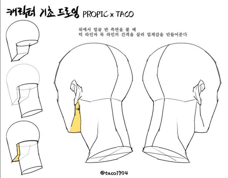 Taco Reference, Taco Drawing, Neck Drawing, Head Anatomy, Artist Tutorials, 얼굴 드로잉, Anatomy Tutorial, 얼굴 그리기, Drawing Heads