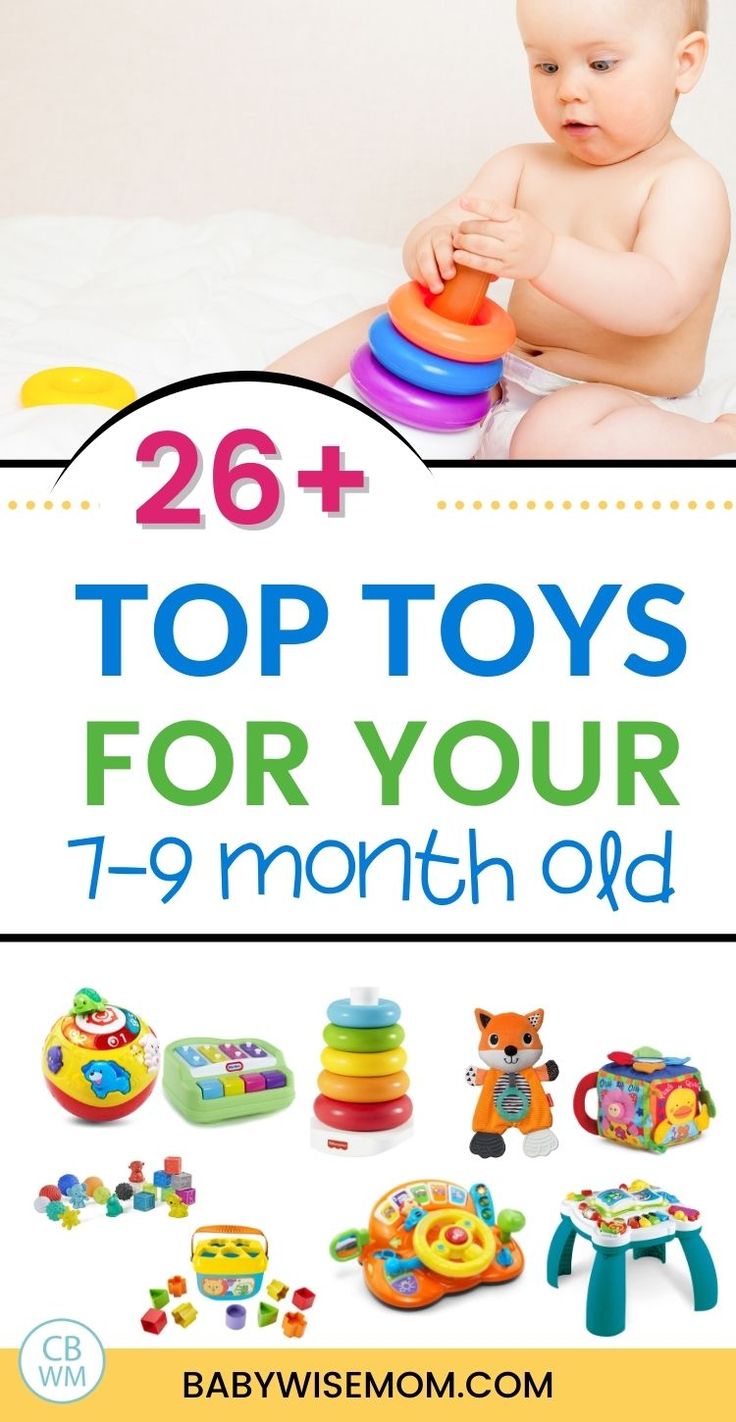 the top toys for your 1 - 9 month old