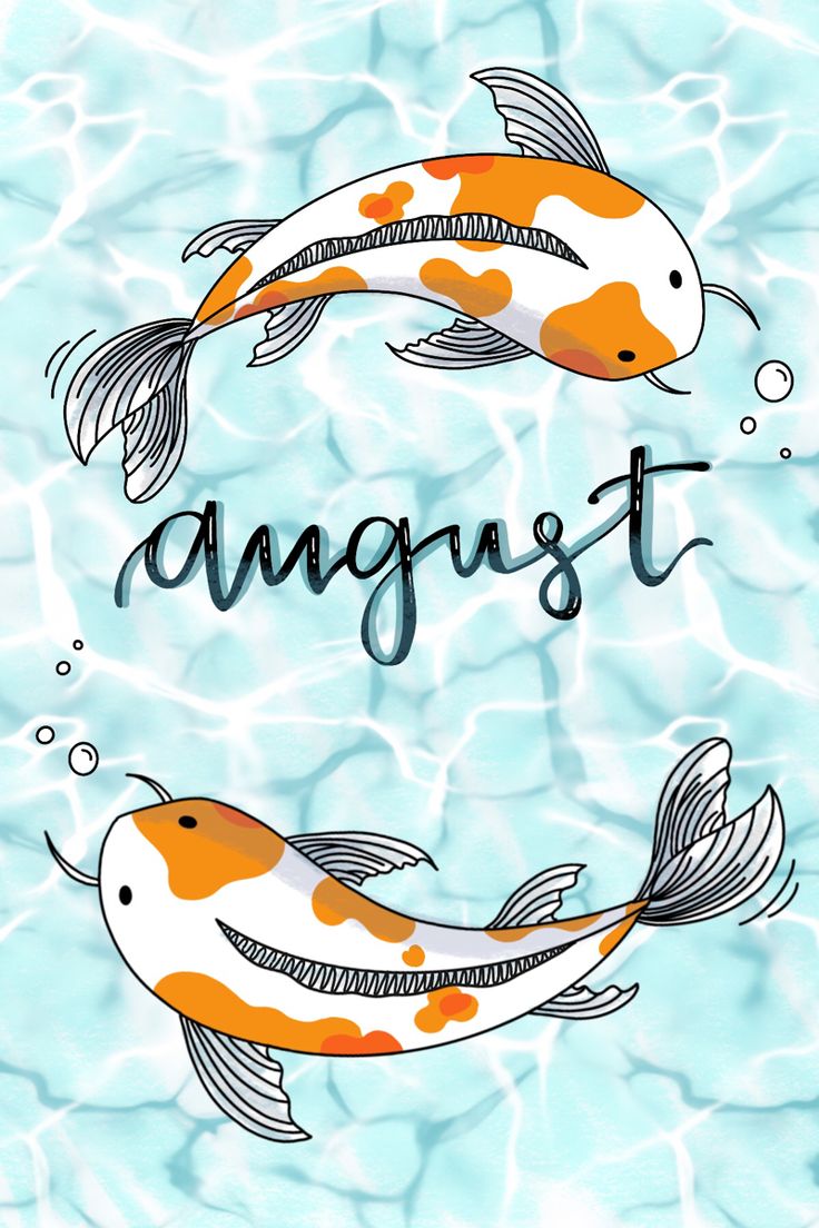 two orange and white koi fish floating in water with the words august above them