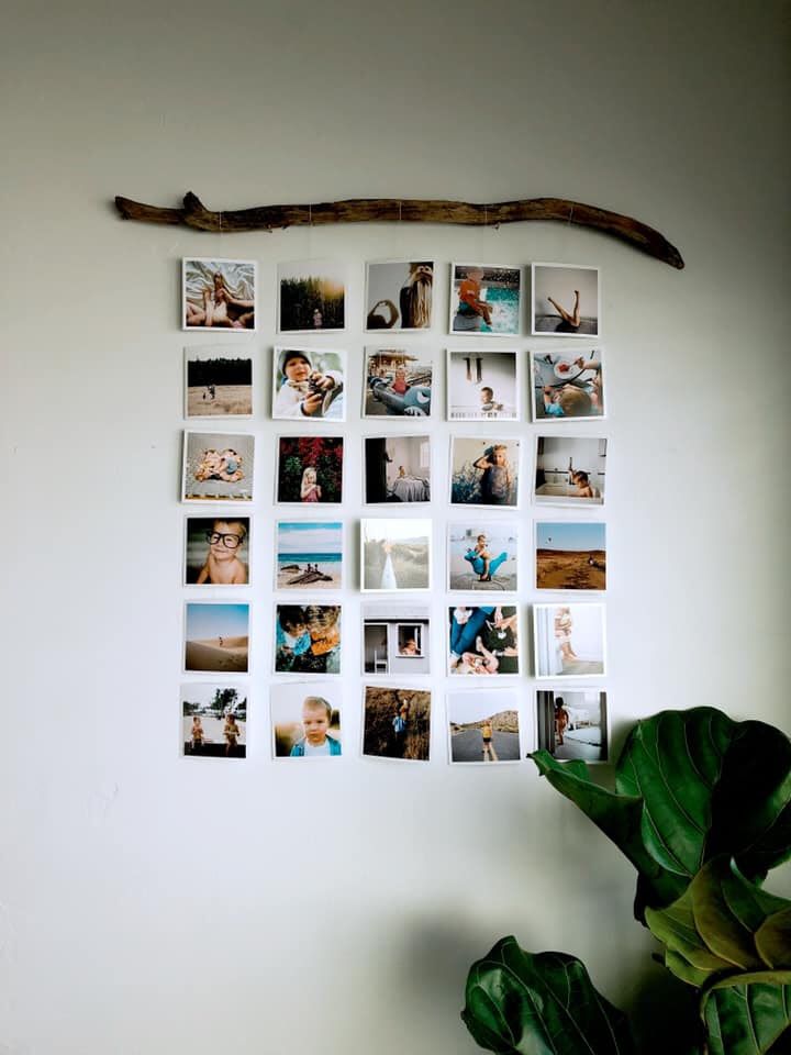 a bunch of pictures hanging on the wall next to a potted plant and wooden stick