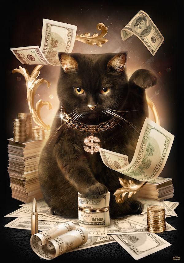 a black cat sitting on top of stacks of money