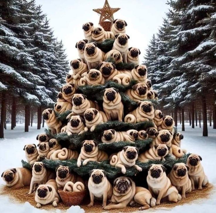 a christmas tree made out of pugs in front of snow - covered pine trees