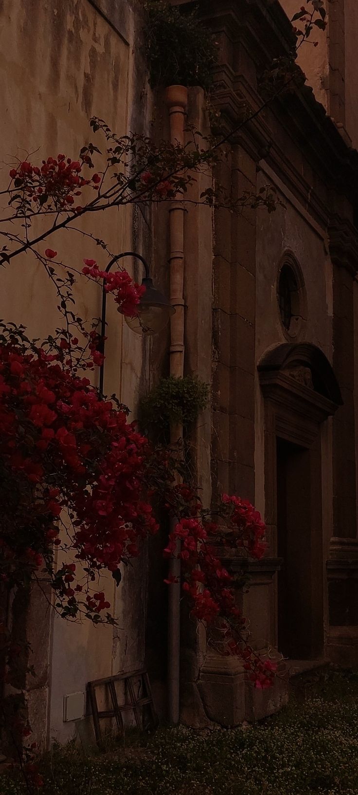 an old building with red flowers growing on it