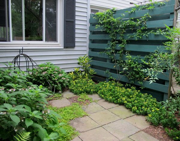 an outdoor garden with green plants growing on the side of a house, next to a brick walkway