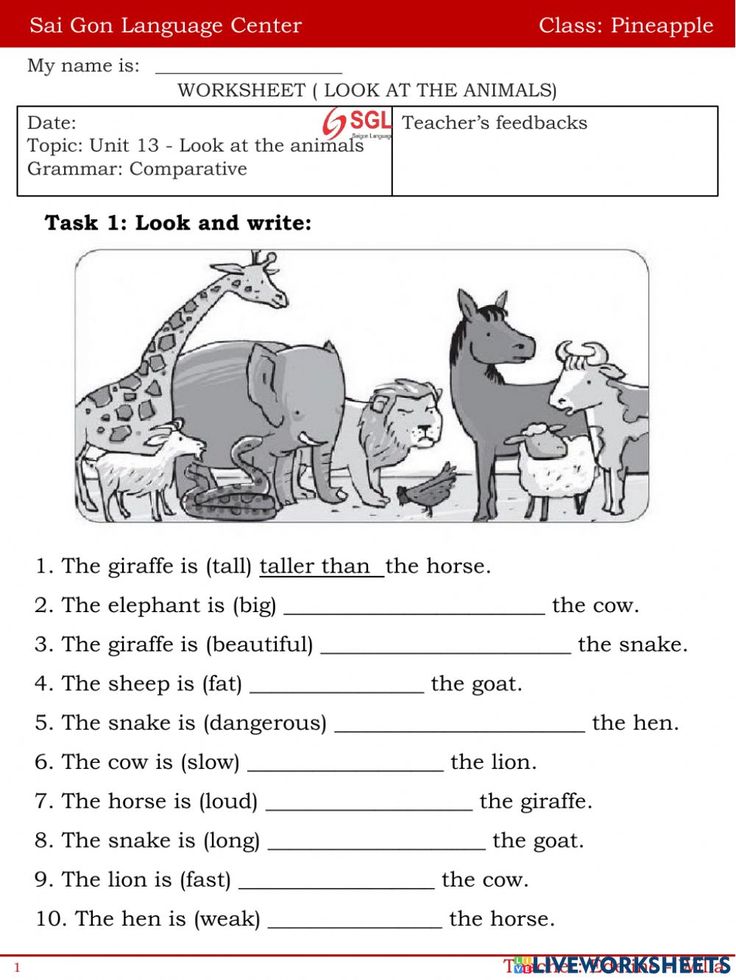 an animal worksheet for grade 1 students