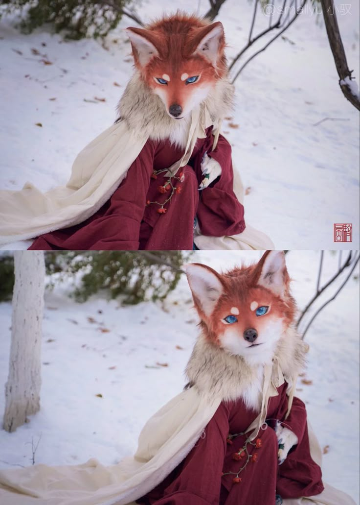 two pictures of a fox dressed up in red and white clothing, with blue eyes