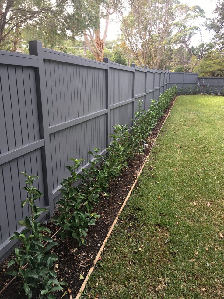 a fenced in garden area with green plants growing along the side and grass on the other side