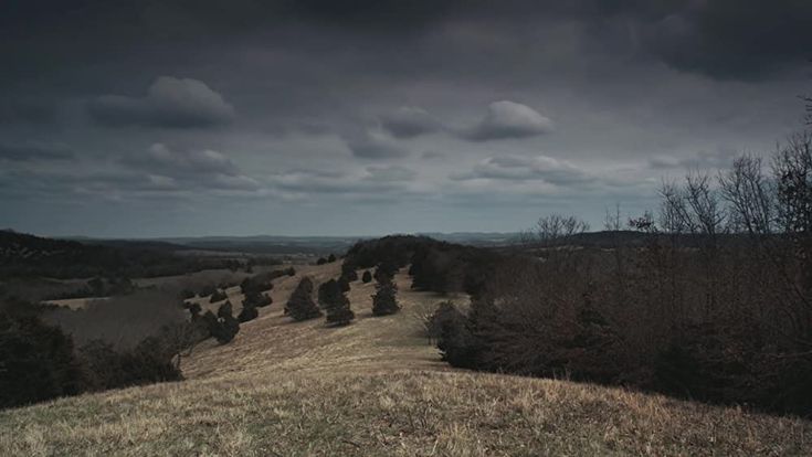 a grassy hill with trees on it under a cloudy sky