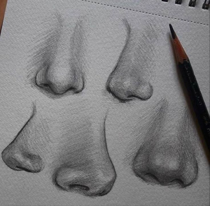 a pencil drawing of different angles of the nose