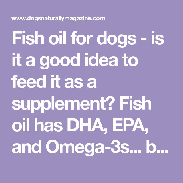 fish oil for dogs - is it a good idea to feed it as a supplement? fish oil has dha, epa, and onega - 3s