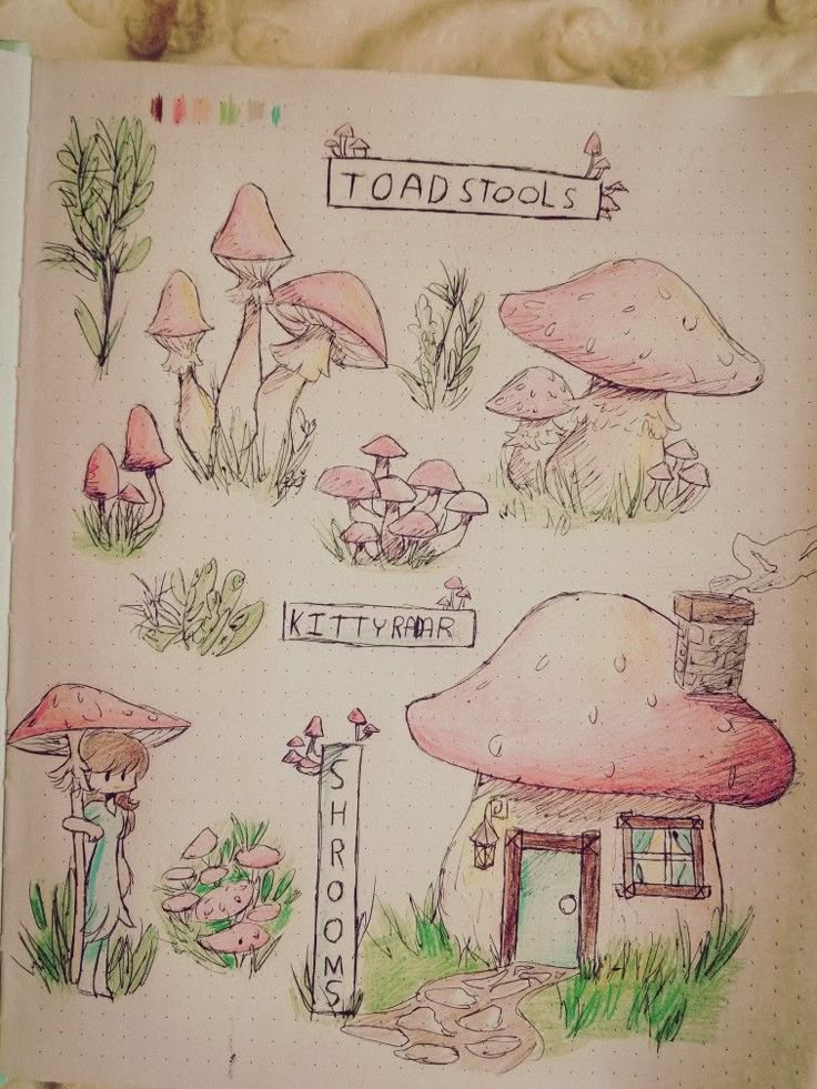 an open notebook with drawings of mushrooms and houses on it's cover, along with the words toadstools written in curs