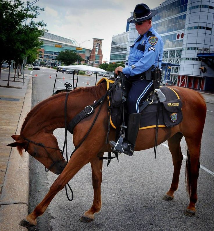 a police officer riding on the back of a brown horse down a street next to tall buildings