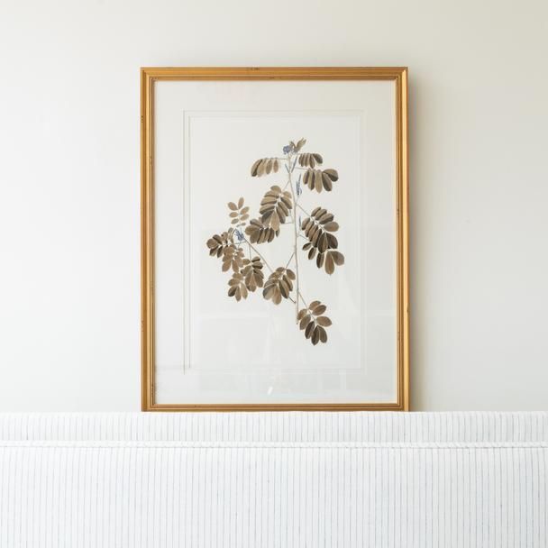 a framed photograph of leaves on a white wall