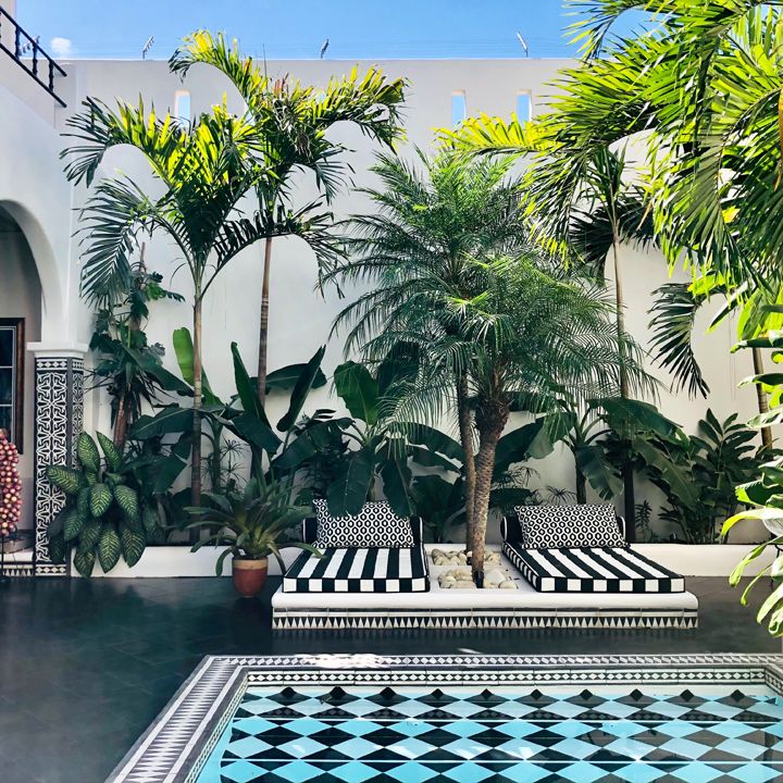 an indoor pool surrounded by palm trees and black and white checkered tile flooring