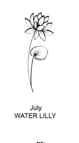 the cover for july water lily, with a black and white image of a flower