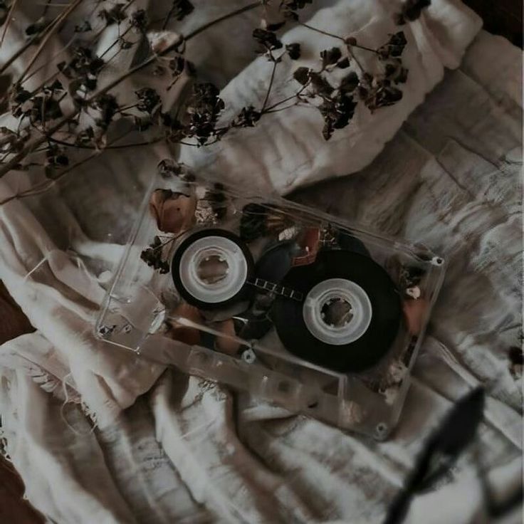 an old cd sitting on top of a bed next to some dried flowers and branches