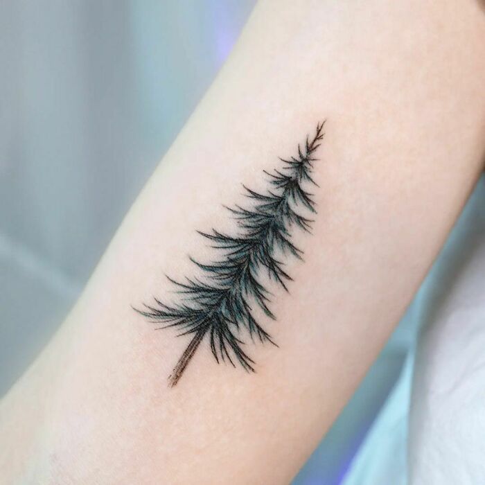 a small pine tree branch tattoo on the arm