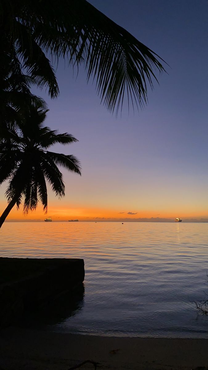 a palm tree sitting on top of a beach next to the ocean under a purple sky