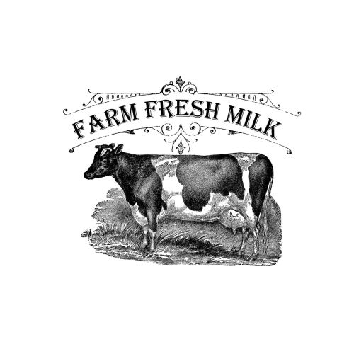 a black and white cow standing in front of a sign that says farm fresh milk