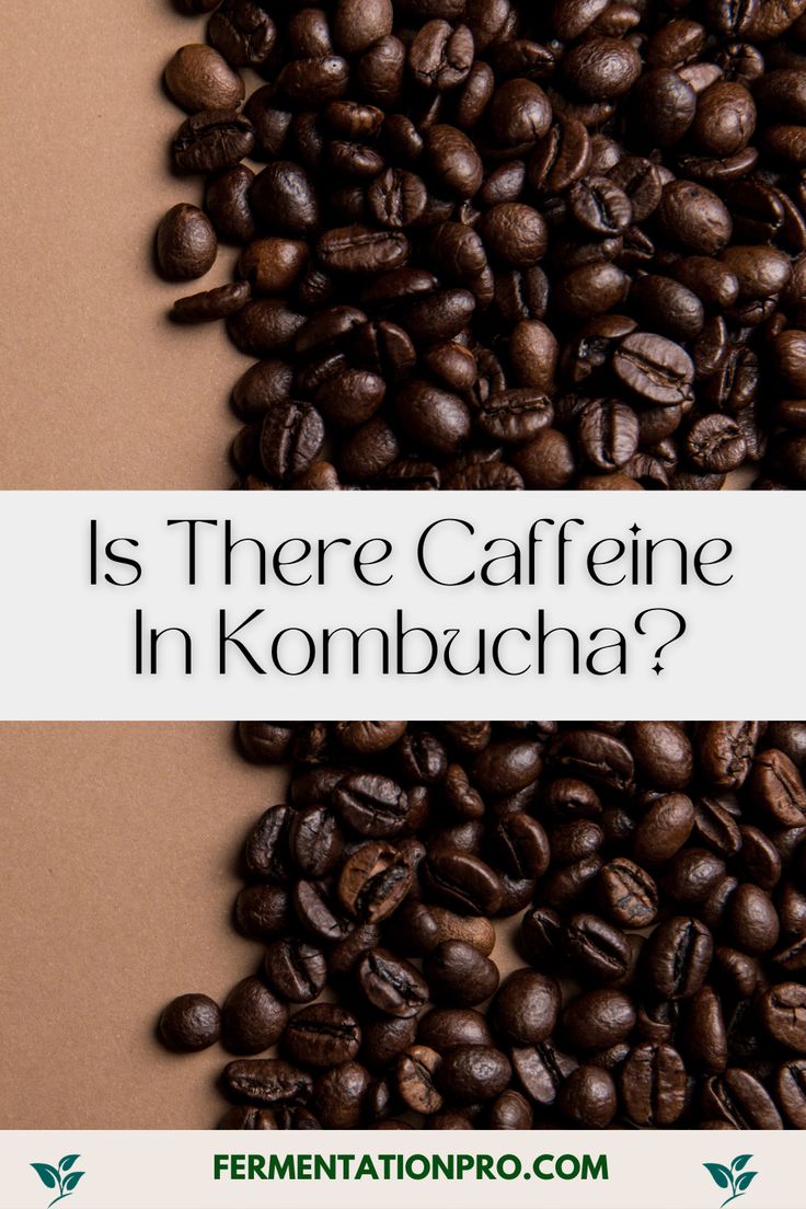 coffee beans with the words is there caffeine in kombucha?