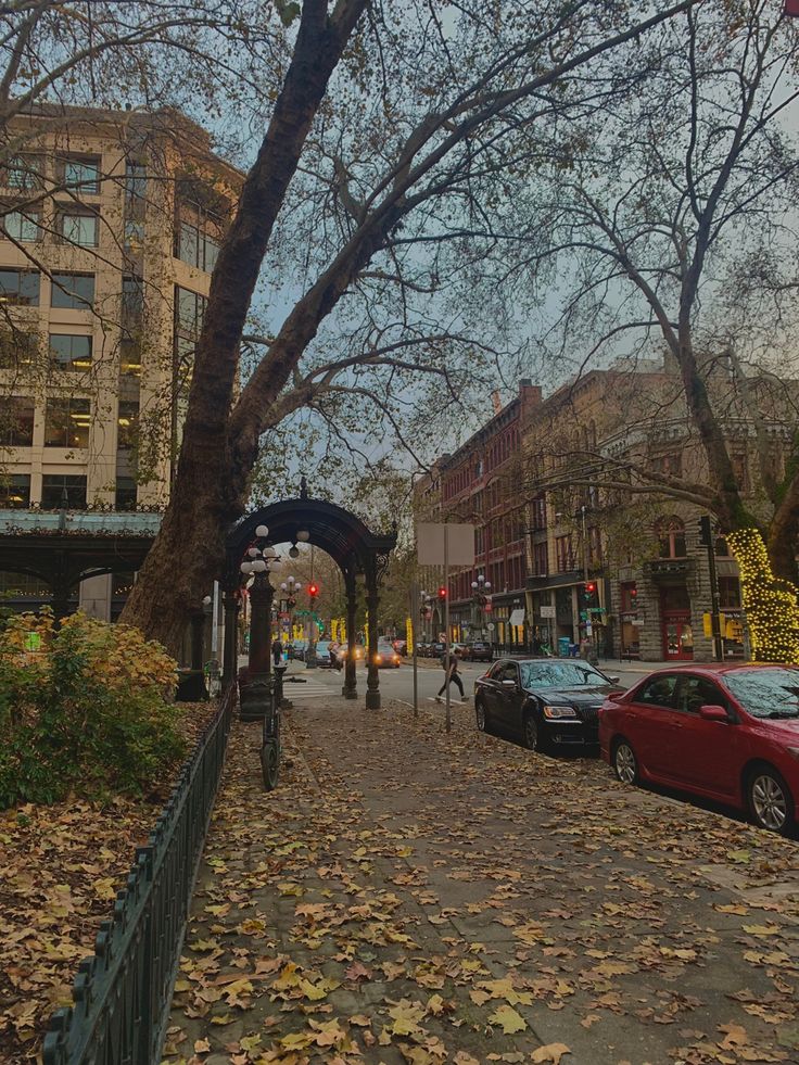 cars parked on the side of a street next to a tree and fence with leaves all over it