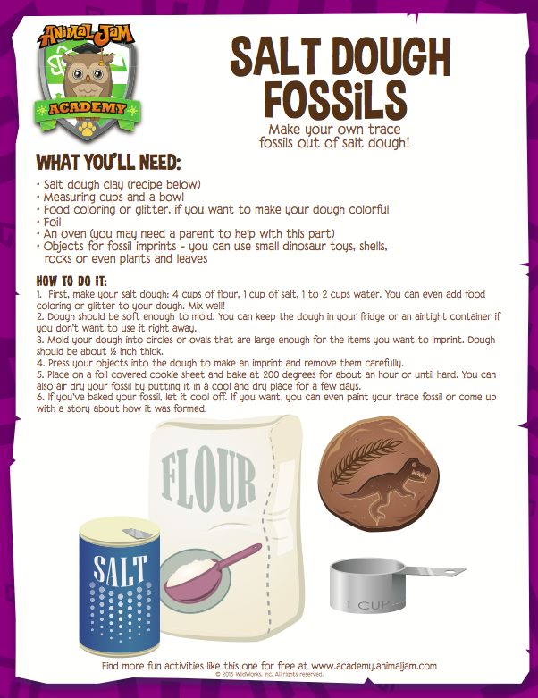 an advertisement for salt dough fossils with instructions on how to make them and how to use it