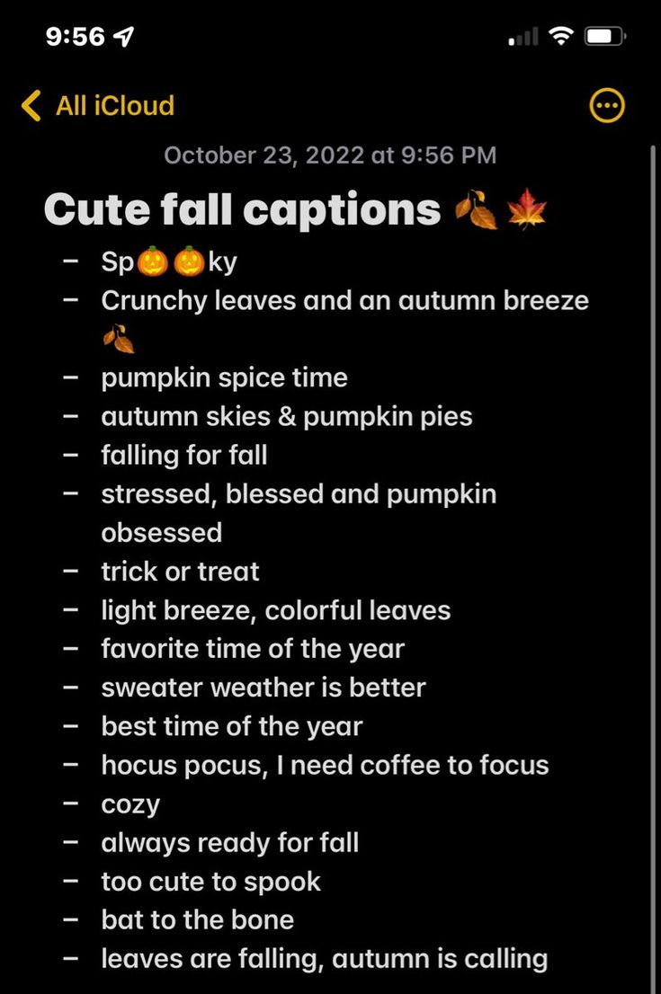 an iphone screen with the caption for cute fall captions