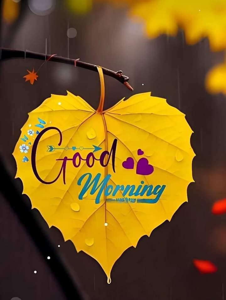 a yellow leaf with the words good morning hanging from it