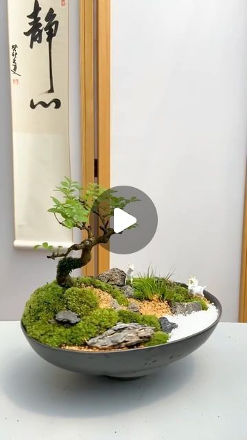 a bonsai tree in a bowl with rocks and moss on the table next to it