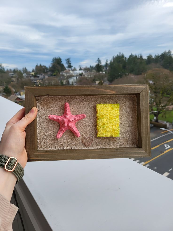 a person holding up a box with two small pink and yellow starsfishs in it