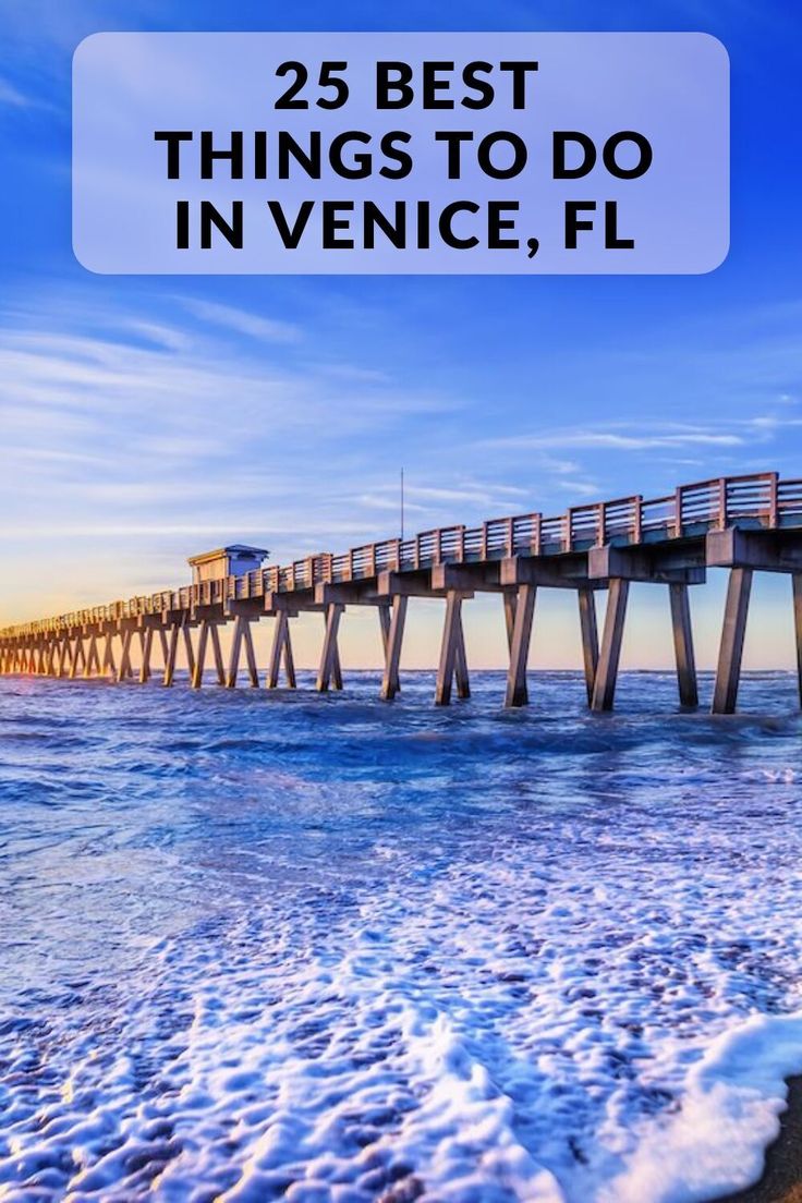 the ocean and pier with text overlay that reads 25 best things to do in venice, florida