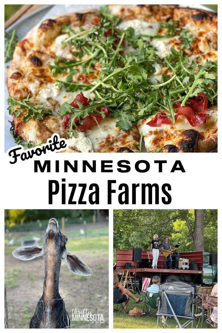 Minnesota Pizza Farms Tips Minnesota Garden, Garden Pizza, Minnesota Nice, Minnesota Travel, Minnesota Home, Pleasant Grove, Farm Projects, Stone Barns, Wood Fired Pizza