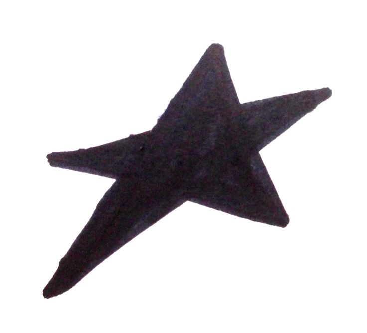 a black star shaped object against a white background