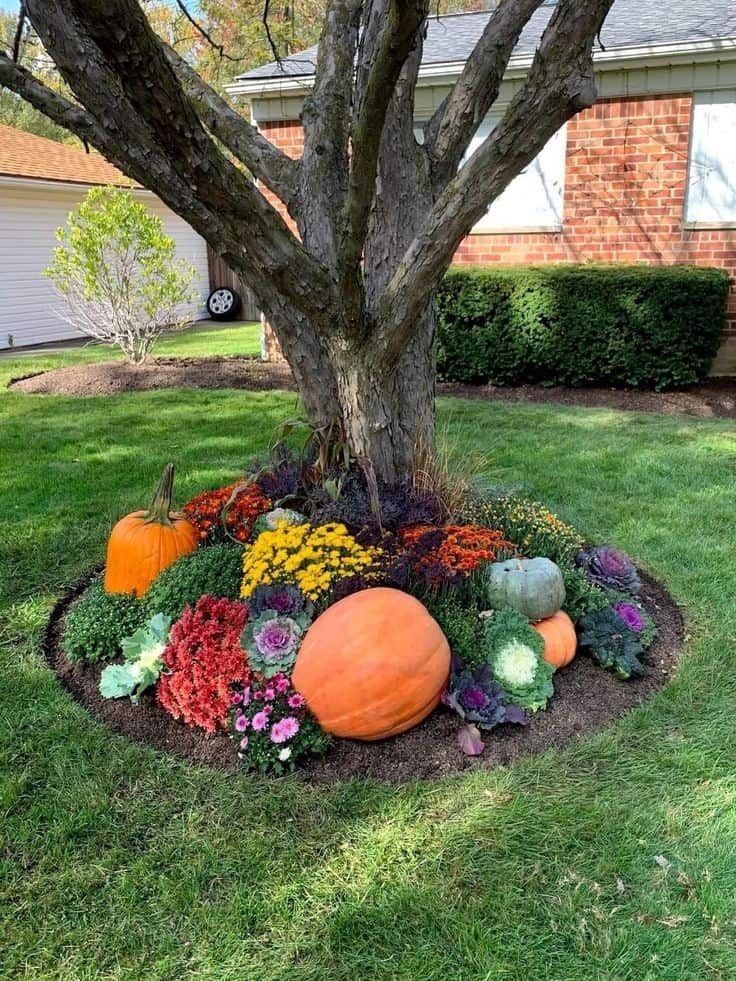 pumpkins and flowers in a flower bed under a tree